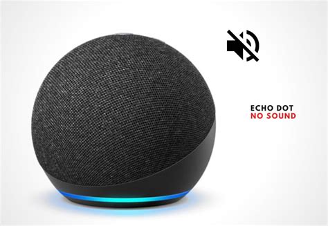 echo dot keeps stopping music|More.